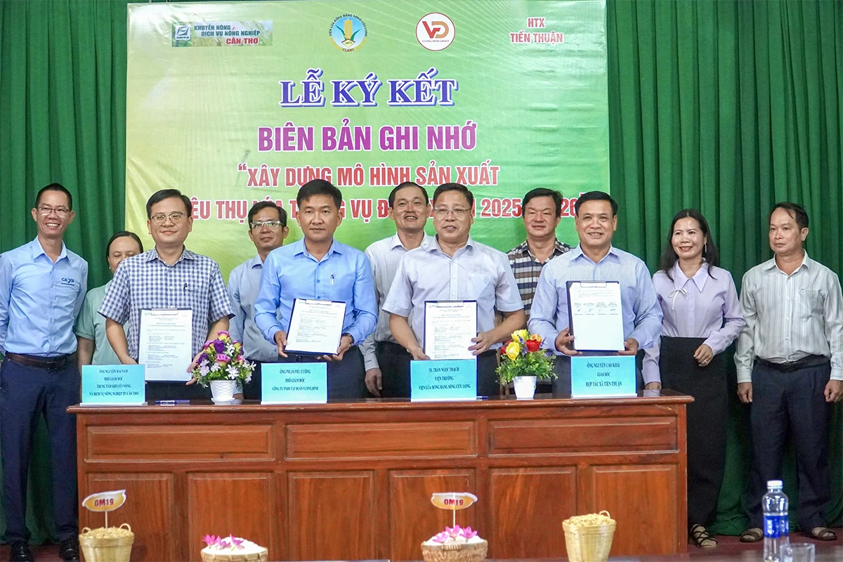 Viện Lúa ĐBSCL ký kết biên bản ghi nhớ xây dựng mô hình sản xuất và tiêu thụ giống lúa OM 19 vụ đông xuân 2025-2026 